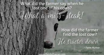 Farm Humor - Cows
