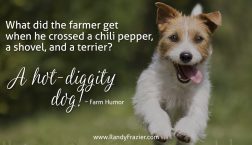 Farm Humor