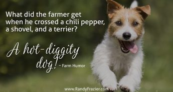 Farm Humor