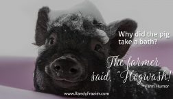 Farm Humor - Pigs
