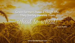 Farm Humor - Grain Farmers