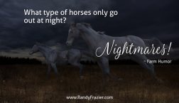 Farm Humor - Horses