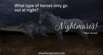 Farm Humor - Horses