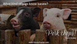 Farm Humor - Pigs