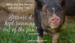 Farm Humor - Pigs