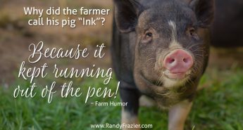Farm Humor - Pigs
