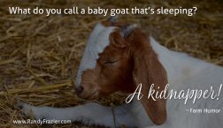 Farm Humor - Goats
