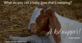 Farm Humor - Goats