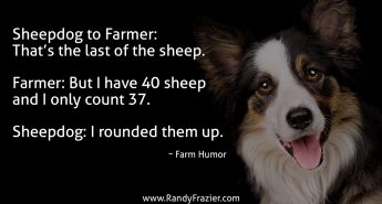 Farm Humor – Sheep Dogs