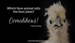 Farm Humor - Chickens