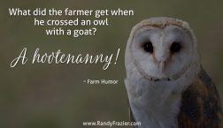 Farm Humor - Owls and Goats