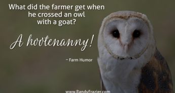 Farm Humor - Owls and Goats
