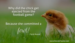 Farm Humor - Chickens