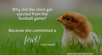Farm Humor - Chickens