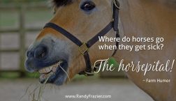 Farm Humor - Horses