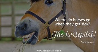 Farm Humor - Horses