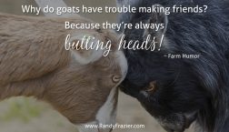 Farm Humor - Goats