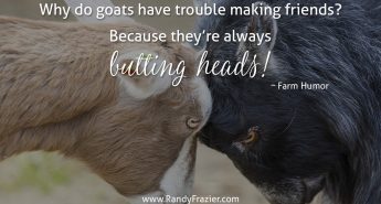 Farm Humor - Goats