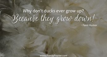 Farm Humor - Ducks