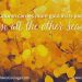 RCF Quotes 092325