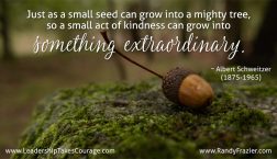 Albert Schweitzer Quote