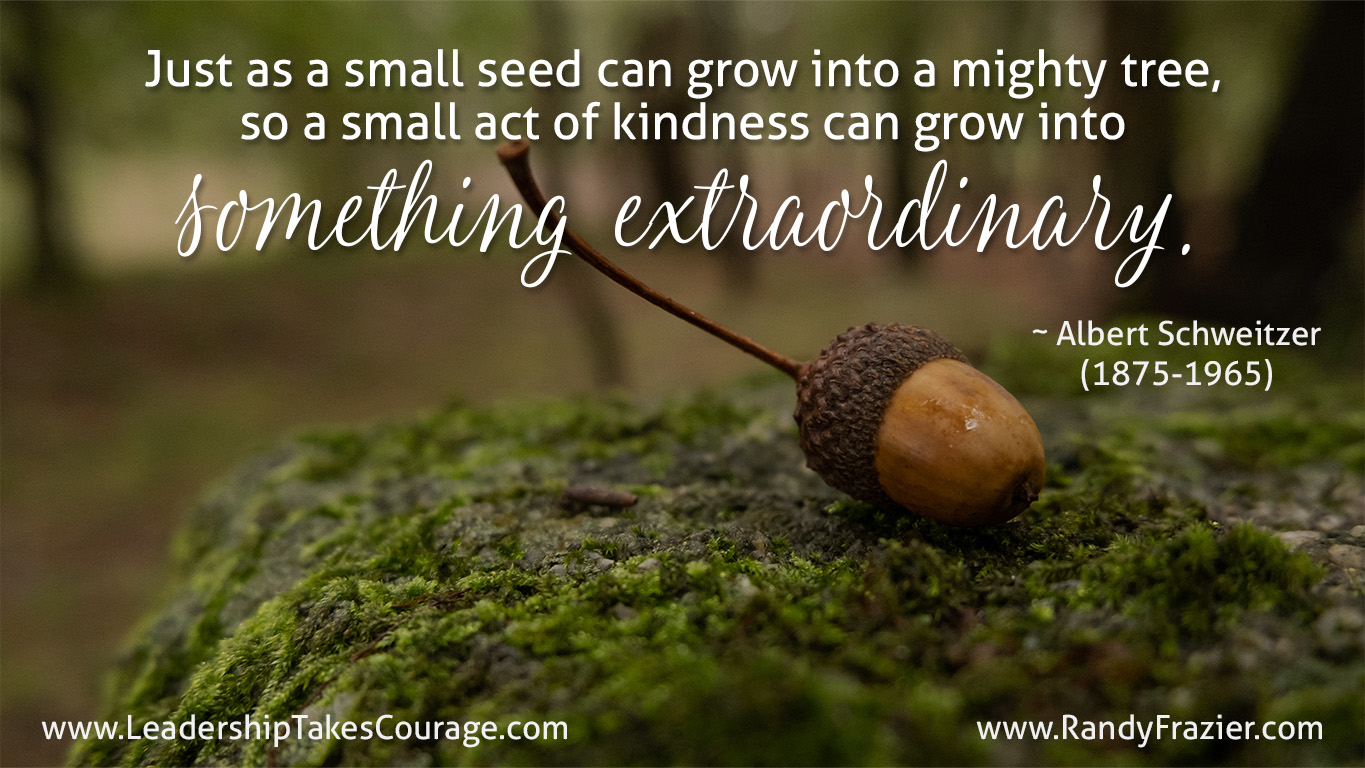 Albert Schweitzer Quote