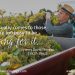 Henry David Thoreau Quote